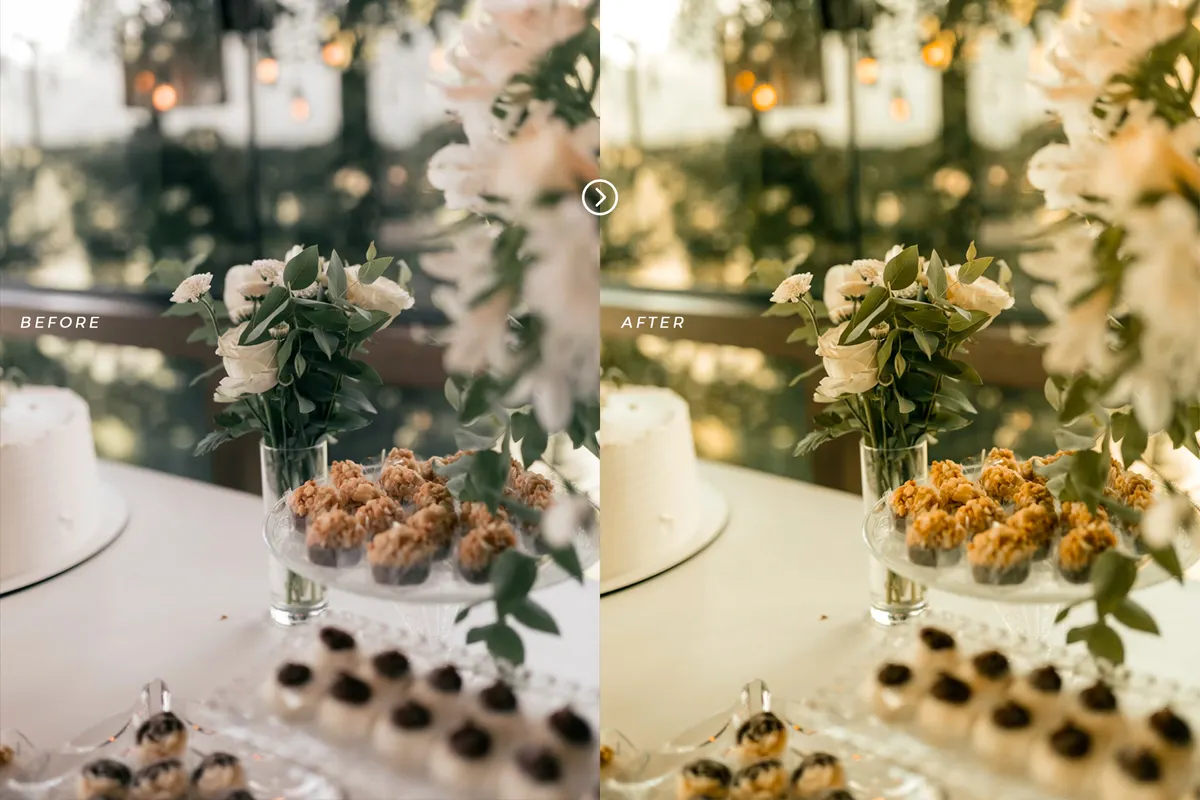 Earth Tones Lightroom Presets