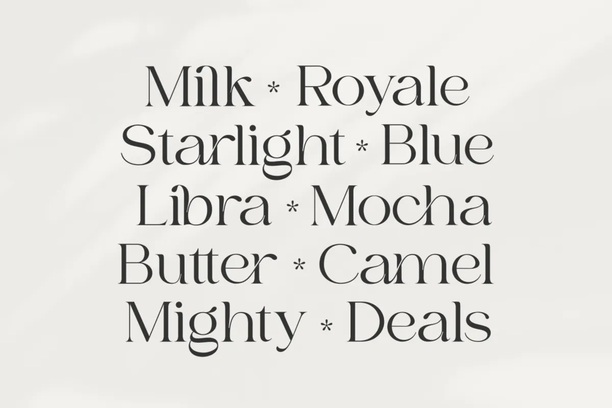 Bilgie - Chic Elegant Font