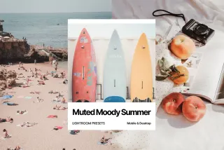 Muted Moody Summer Lightroom Presets