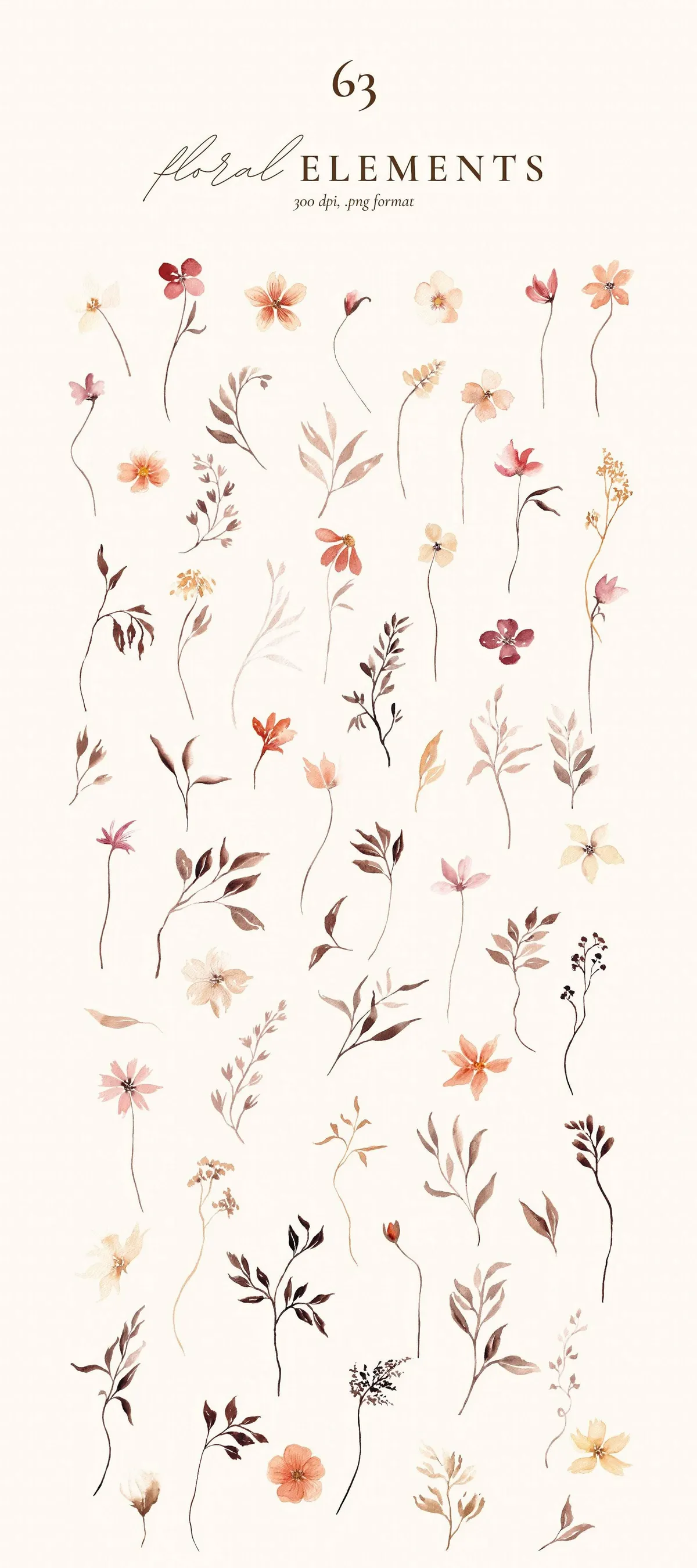 Autumn Watercolor Wildflowers