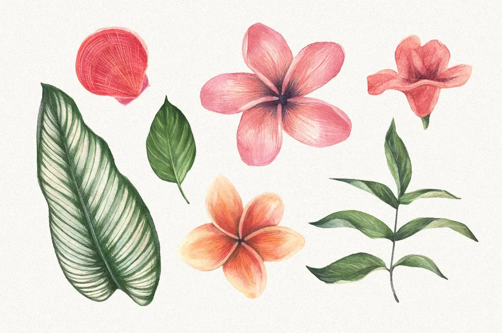 Watercolor Flowers Collection