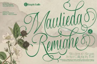 MAULIEDA REMIGHE — Elegant Wedding Script Font