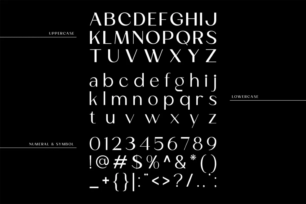 Mogace – Elegant Editorial Sans Serif Font