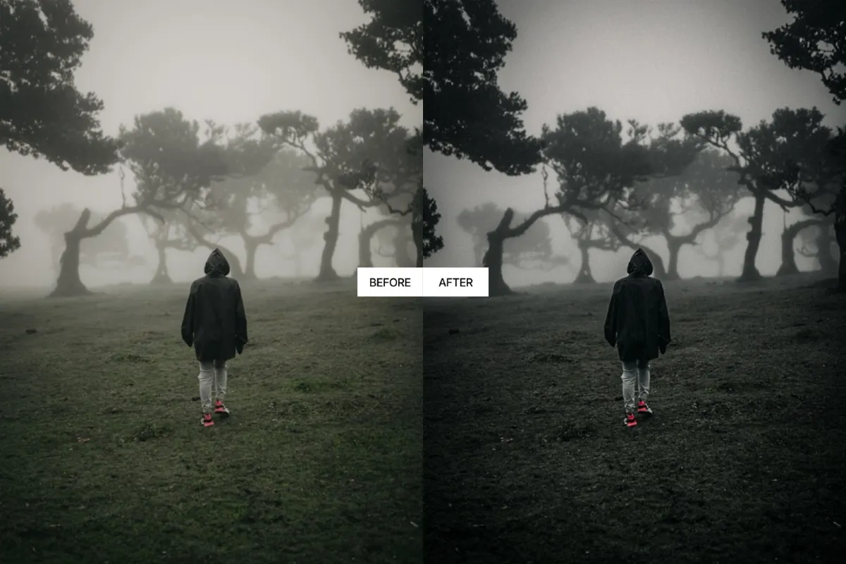 Cinematic Stormy Landscape Lightroom Presets