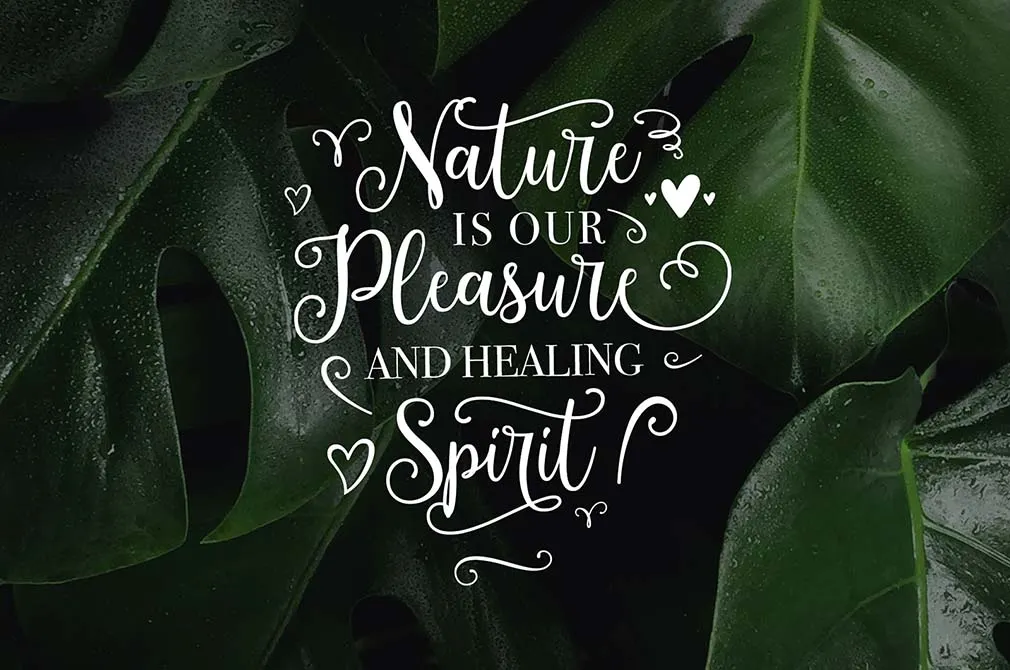 Montgova Script Font