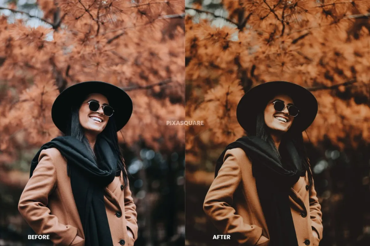Moody Fall Lightroom Presets