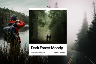 Dark Forest Moody Lightroom Presets