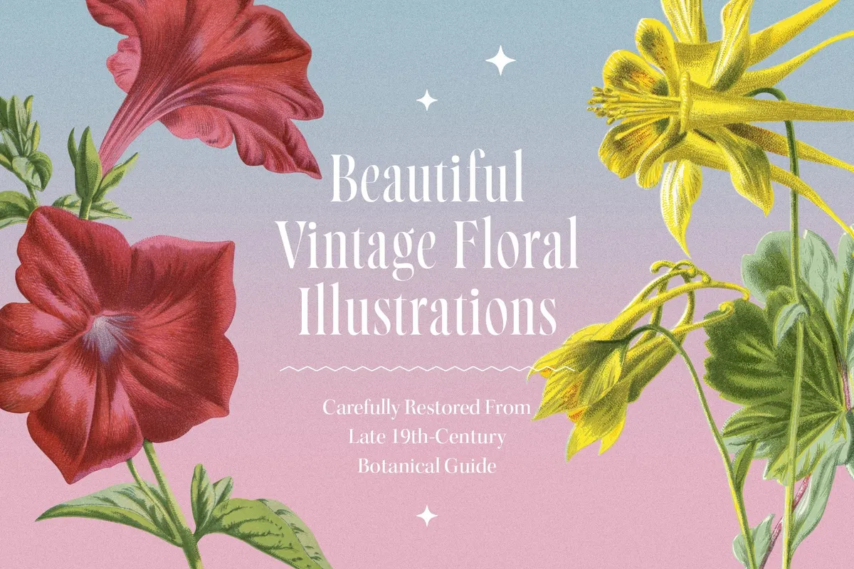 Atlas of Flowers — Botanical Art Set