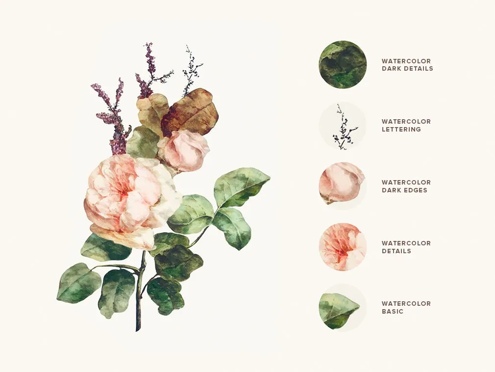 Watercolor Procreate Brushes