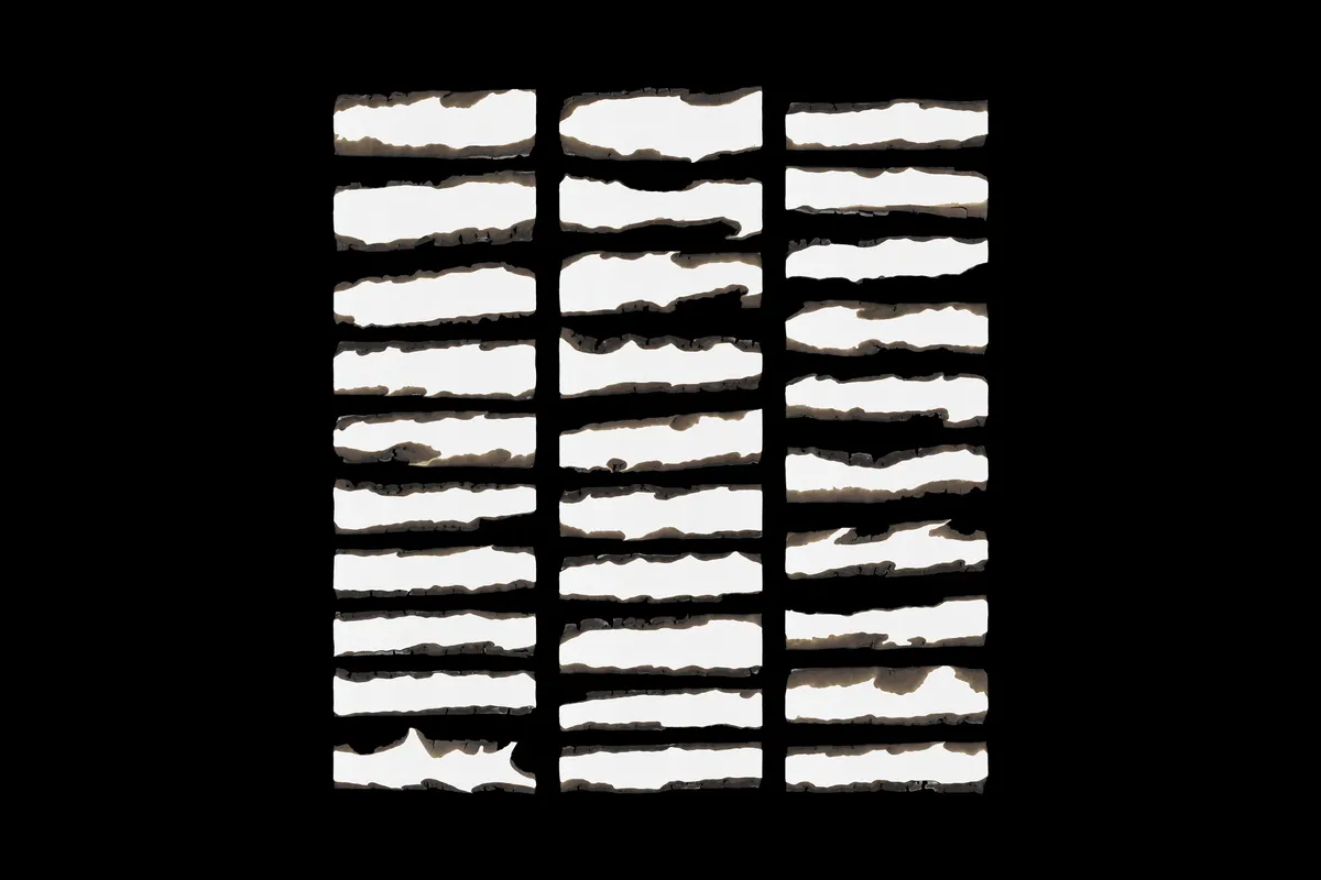 Burned Paper Lines & Circles