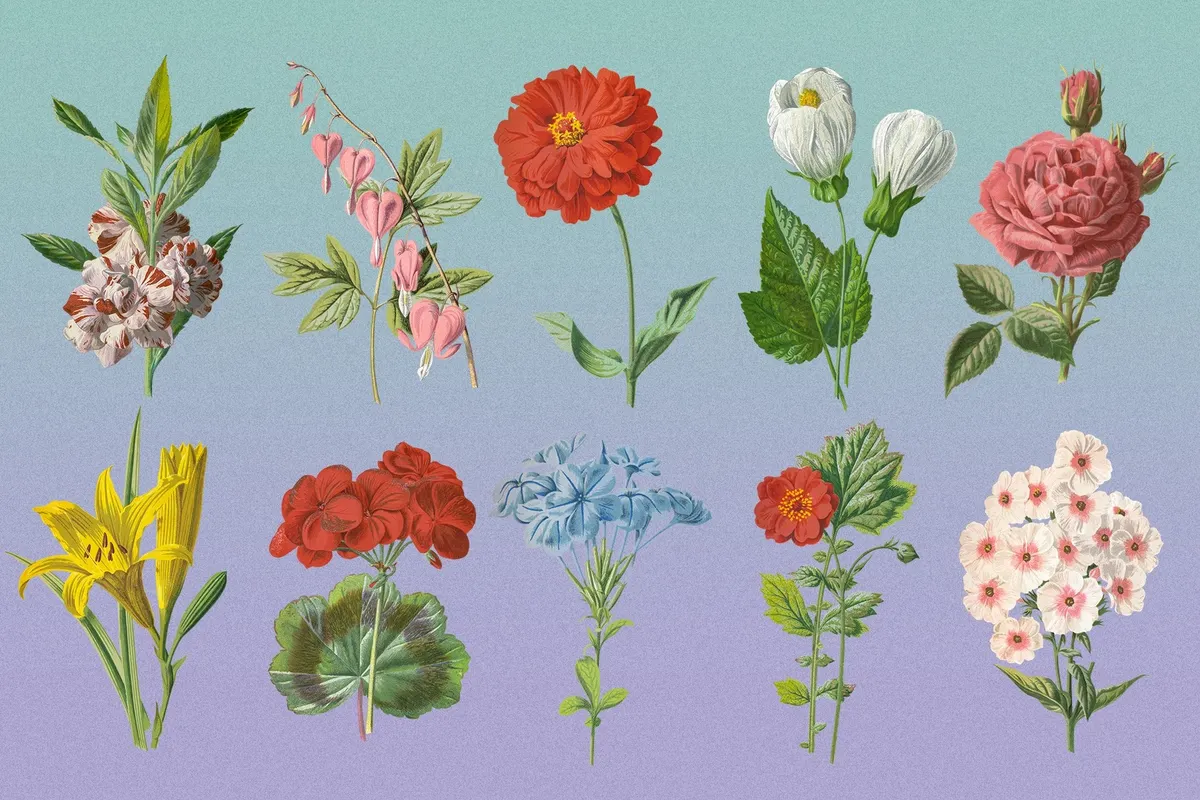 Atlas of Flowers — Botanical Art Set