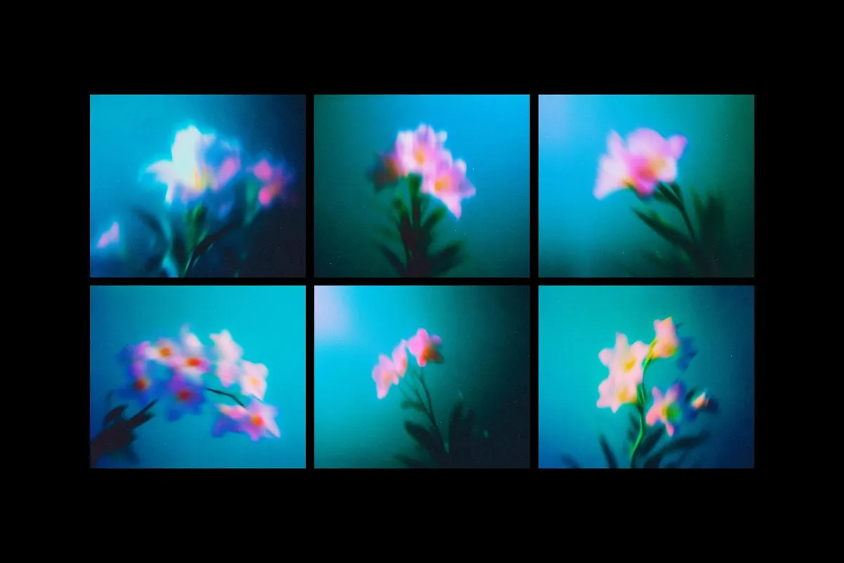 Abstract Blurred Flowers Backgrounds Pack