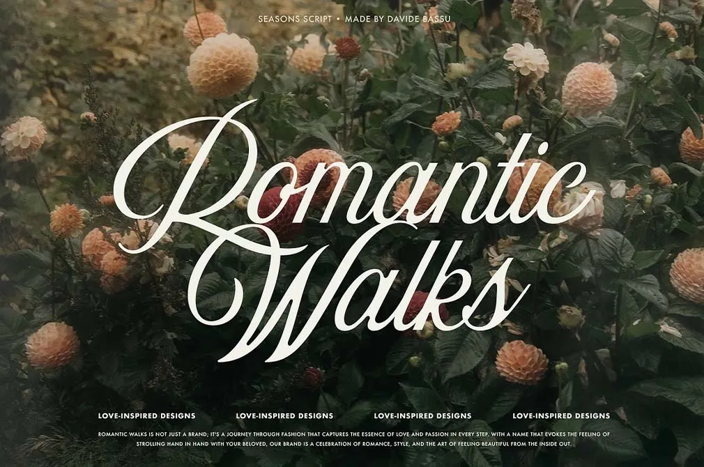 Seasons Script Font