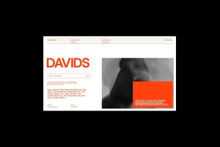 Brand Portfolio PowerPoint Template – Davids