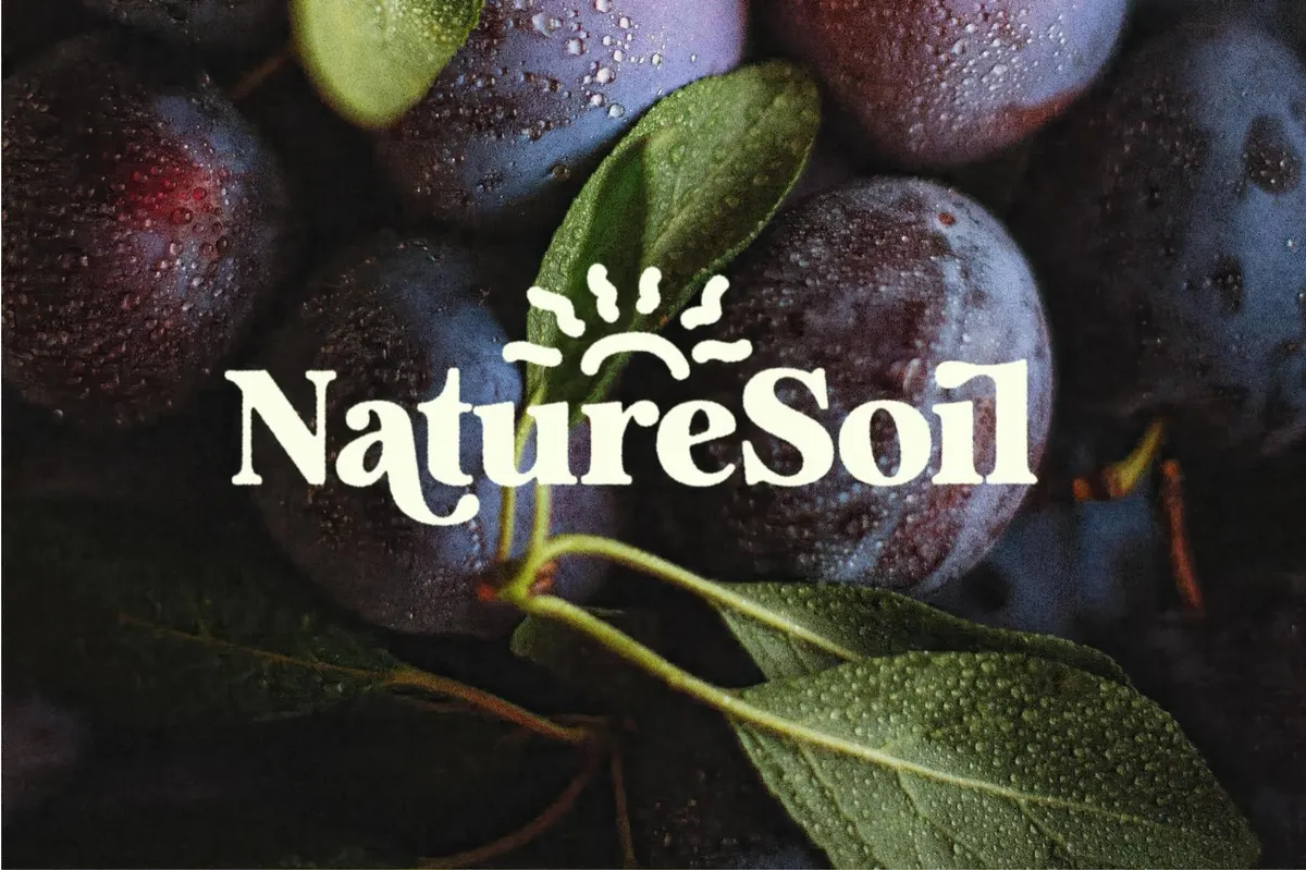 Analogue — Humanist Retro Serif