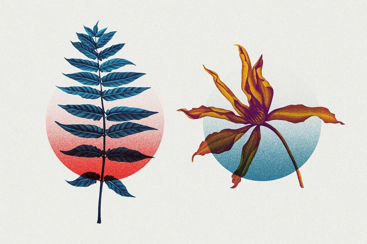 Risograph Double Exposure Effect