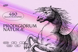 Prodigiorum Naturae - Illustrations