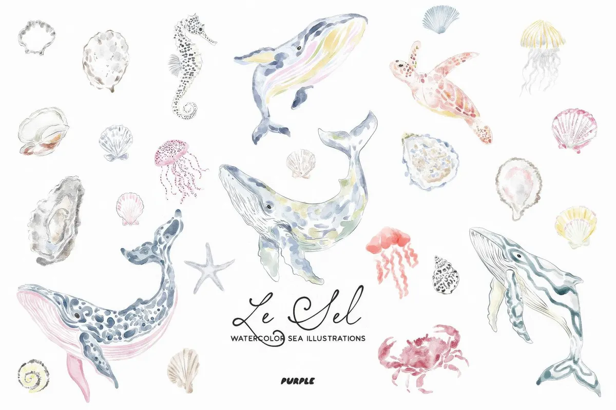 Le Sel: Watercolor Sea Illustrations