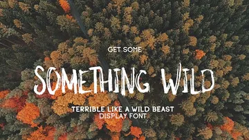 Something Wild Free Font