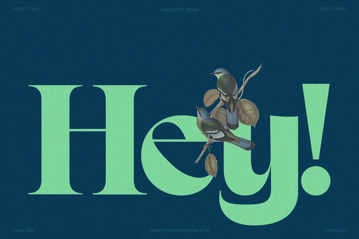 Gagen - Modern Editorial Serif Font