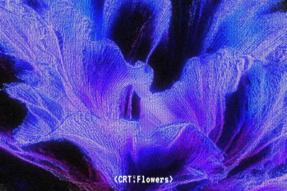 CRT Flowers Overlays