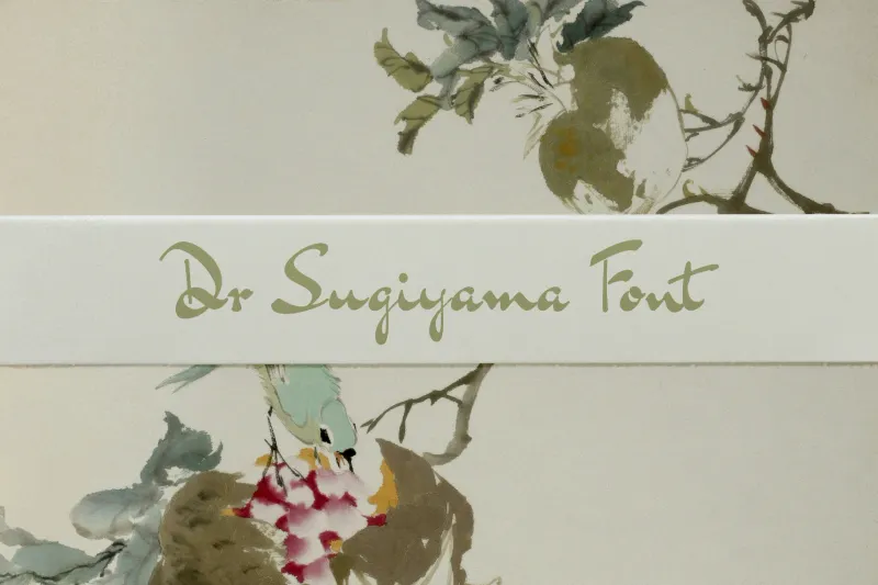 Dr Sugiyama / Signature Font
