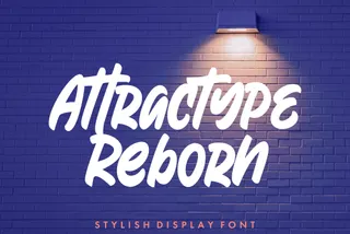 Reborn Display Font