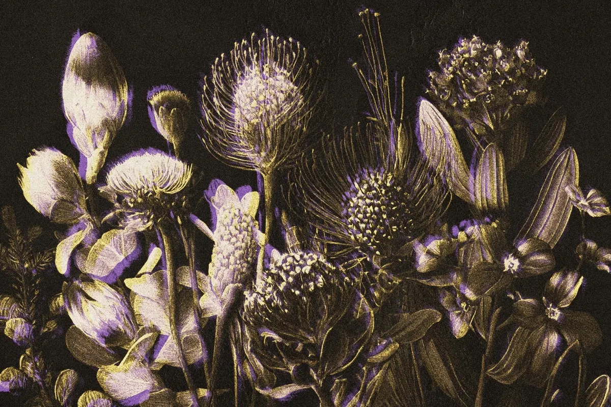 Vintage Paper Print Effect