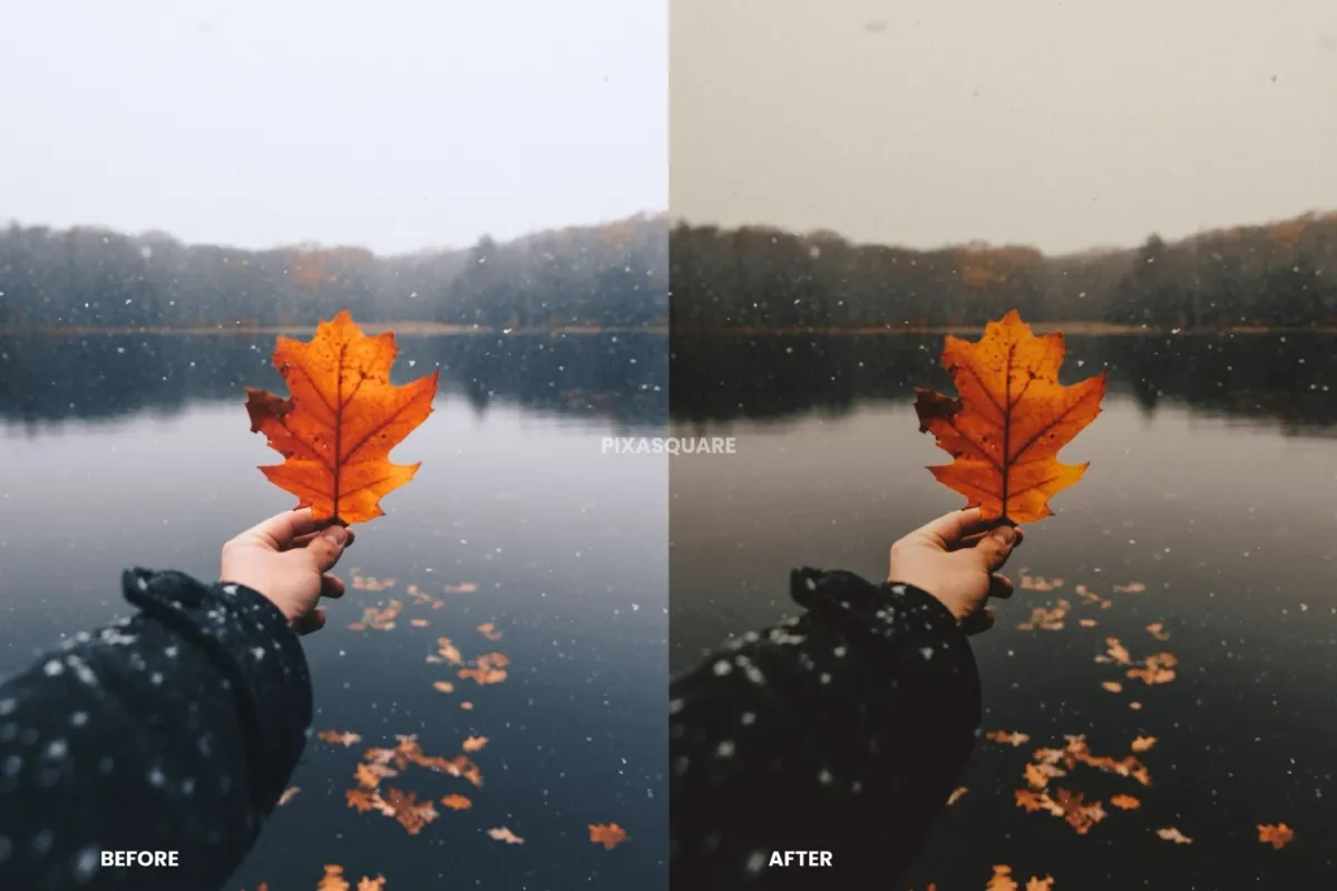 Moody Fall Lightroom Presets