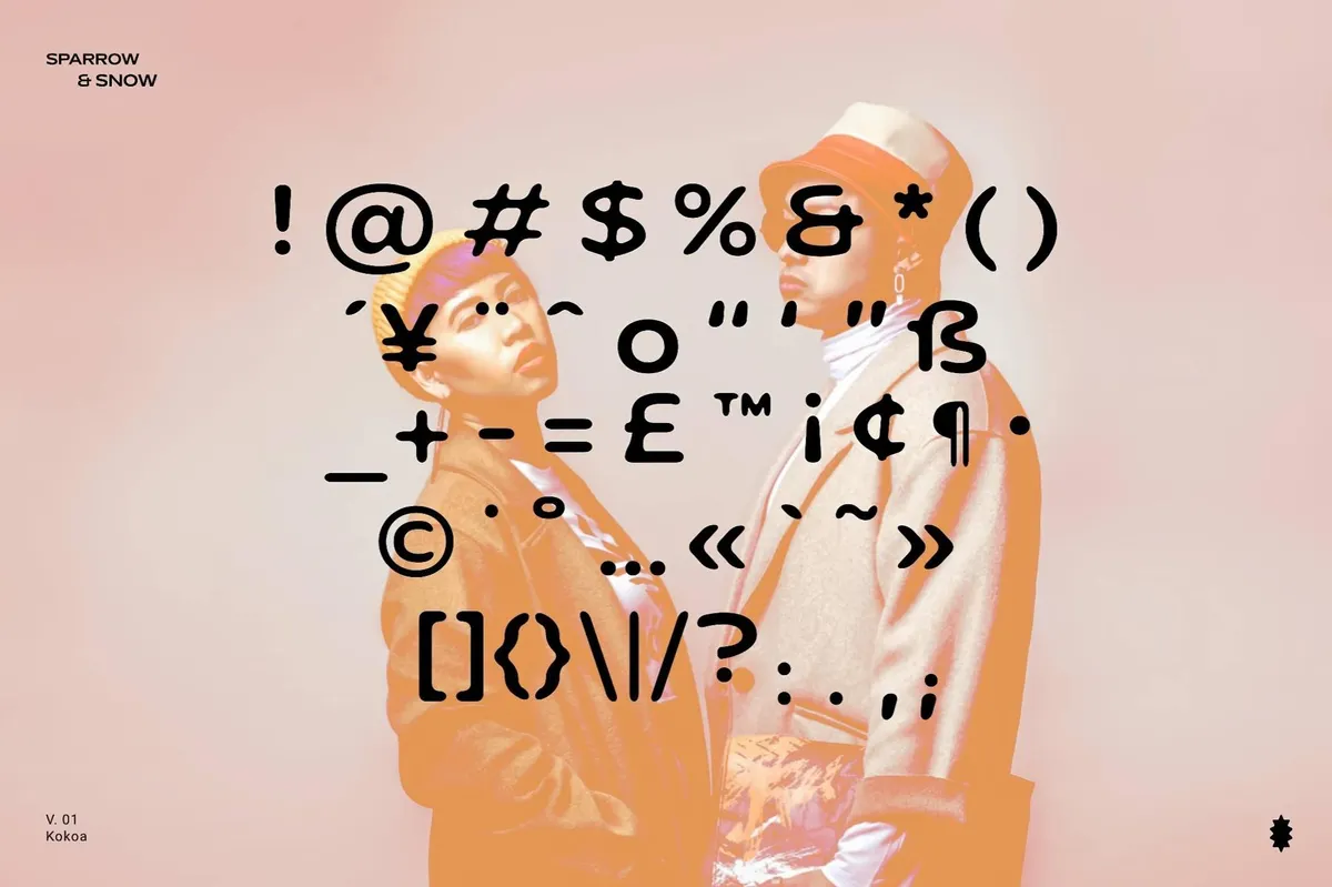 Kokoa Sans Serif Font