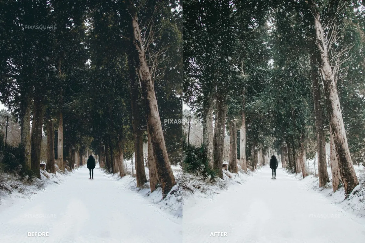 Clean Winter Lightroom Presets