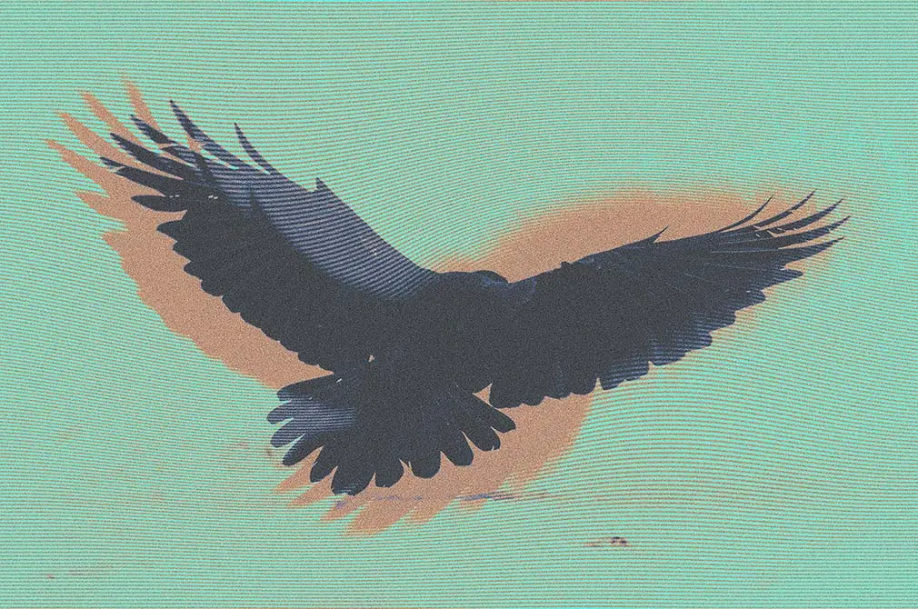 Lost Signal Photo Effect
