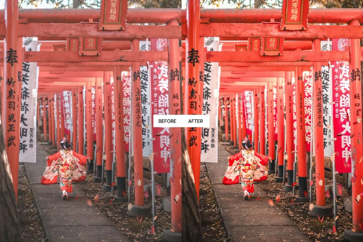 Japan Travel Lightroom Presets