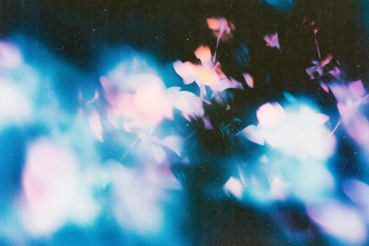 Abstract Floral Backgrounds Pack