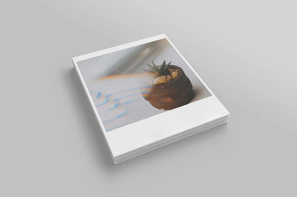 Realistic Polaroid Mockup Set