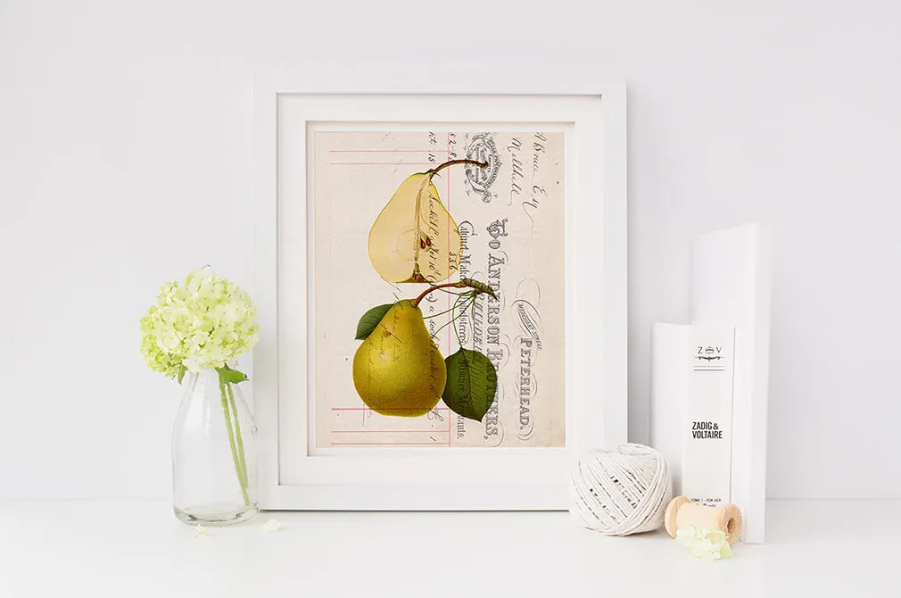 Adorn: Vintage Overlays & Textures