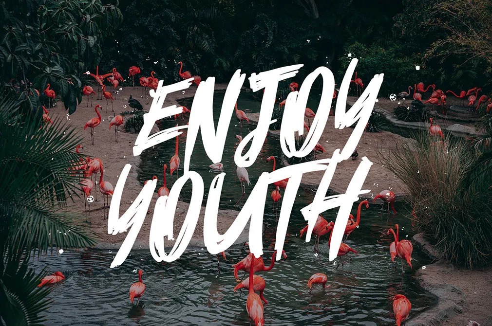 Forgotten November Brush Font