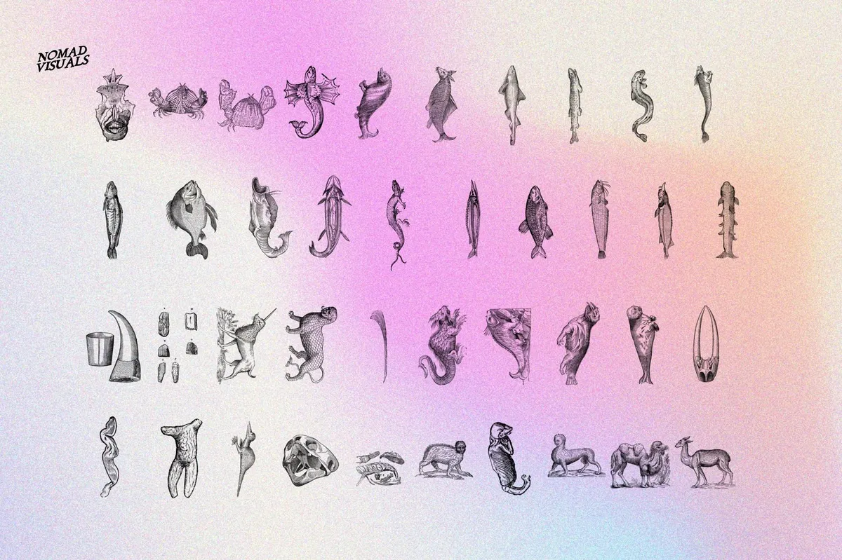 Prodigiorum Naturae - Illustrations