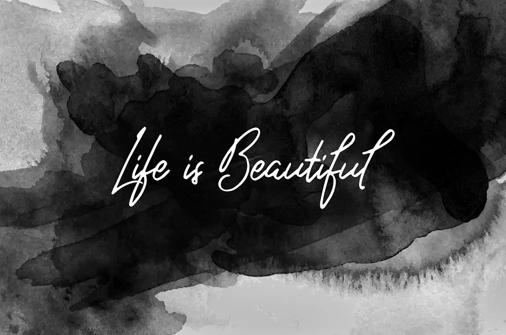 Sansa Dior Script Typeface