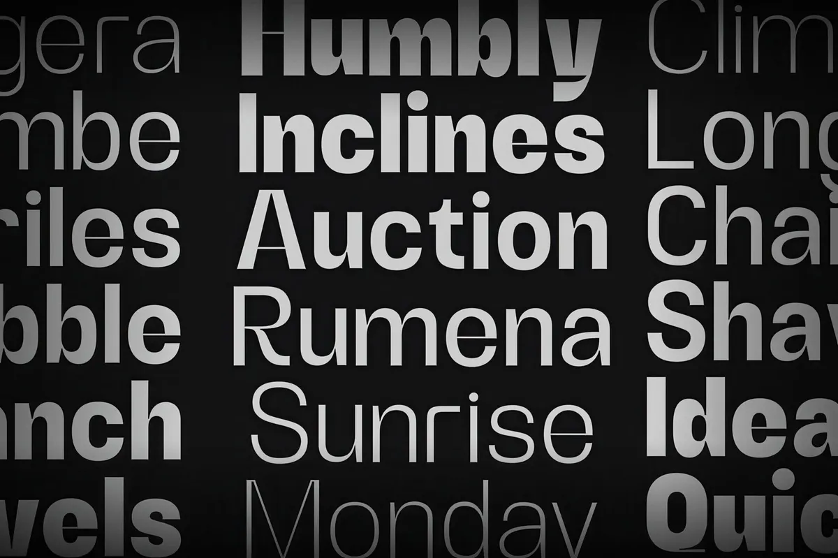Alerio Sans Serif