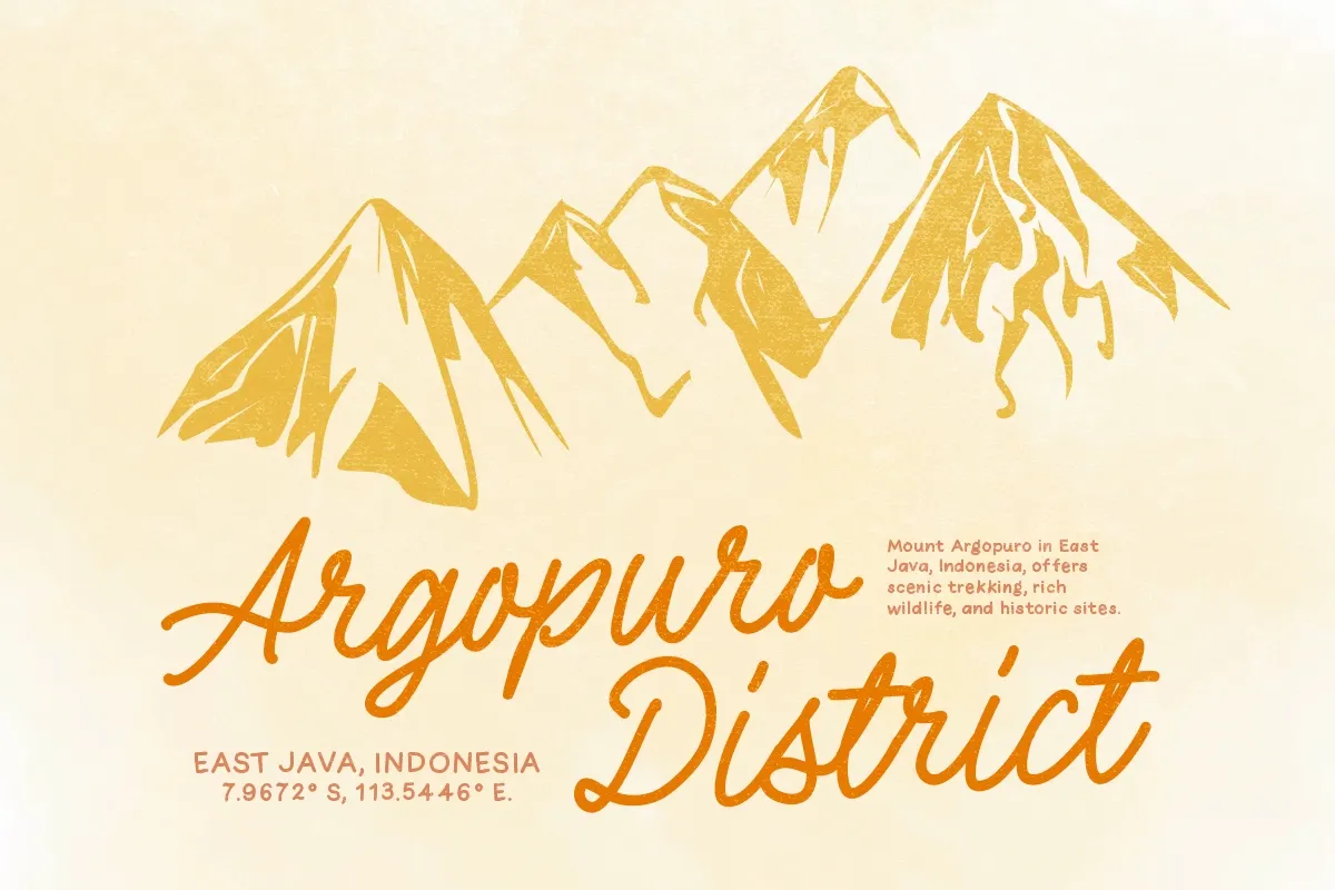 Wonder Nature - Monoline Font Duo