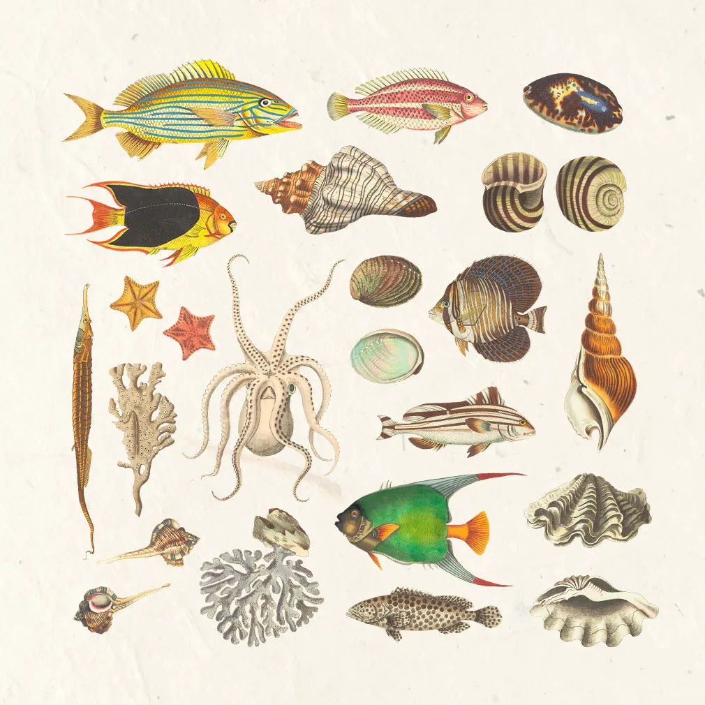 Nautical Vintage Graphic Kit