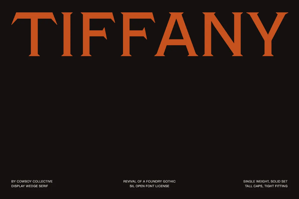 Tiffany Gothic CC - Free Engraving Font