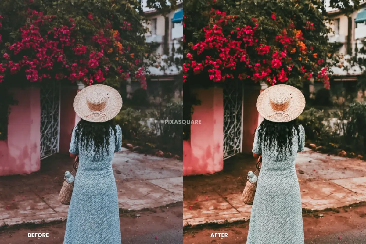 Travel Blogger Lightroom Presets