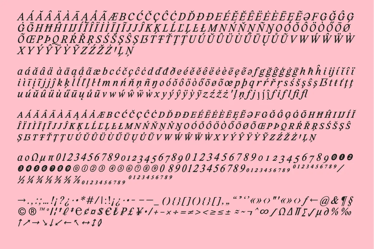 Lastik - Retro Serif Font Family