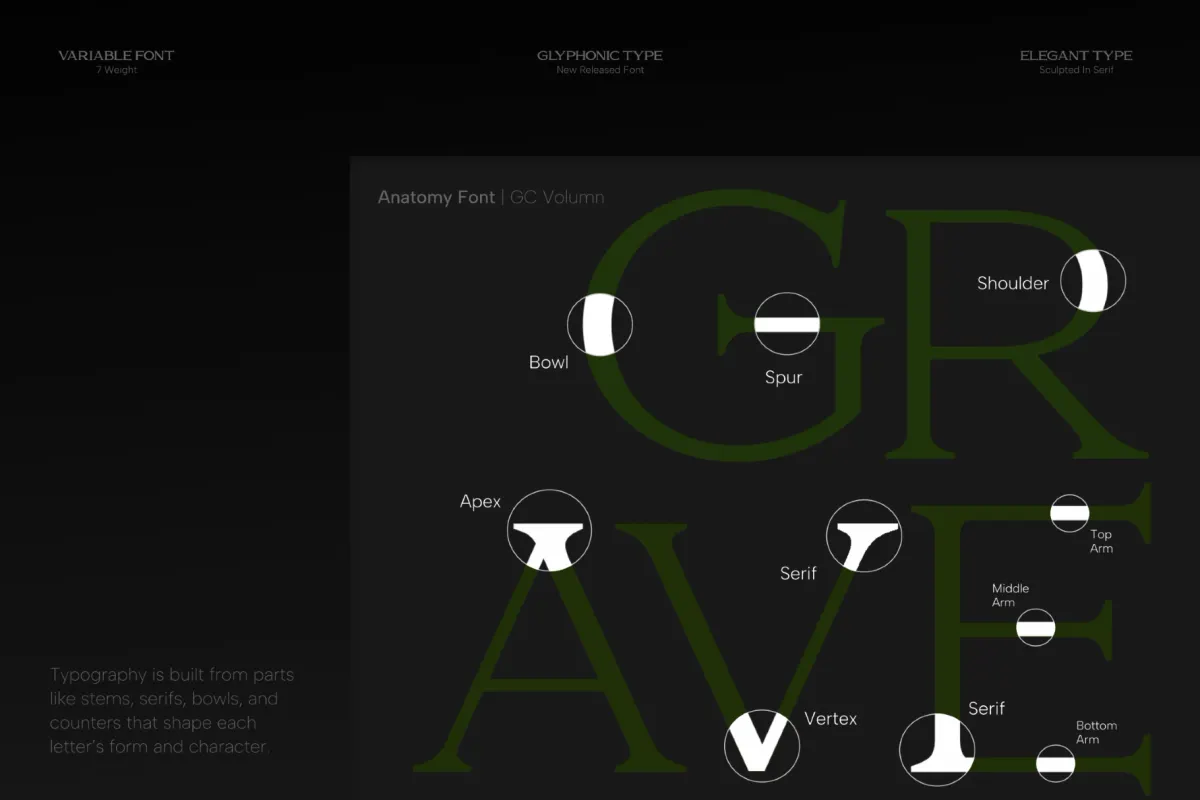 GC Volumn - Elegant Serif Font