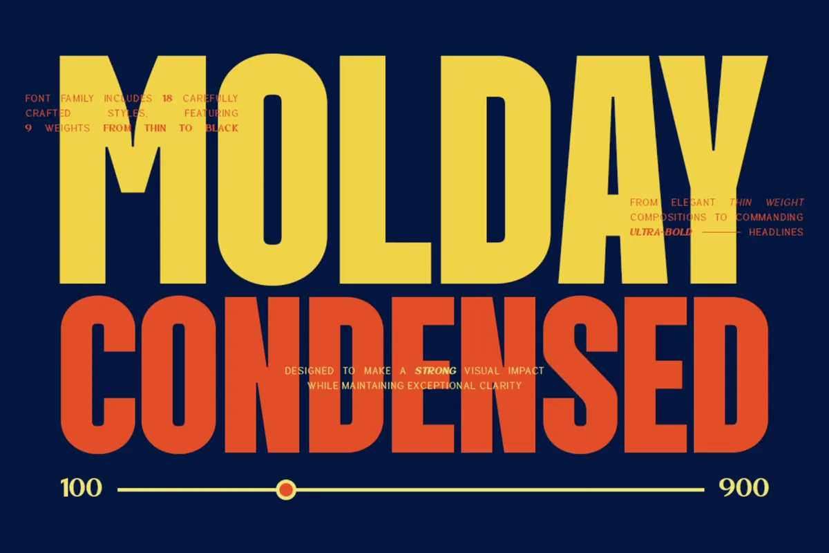 Molday - Condensed Sans Serif Font Family