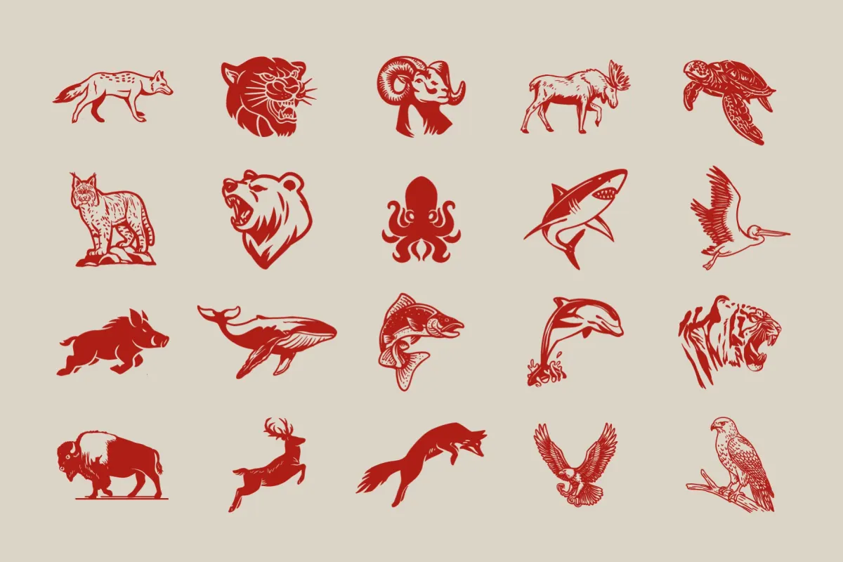 Wildlife Badge Collection
