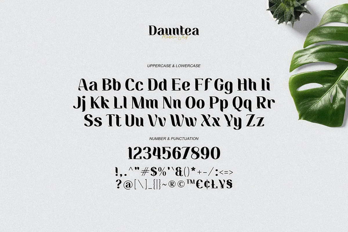 Dauntea - Modern Serif Font