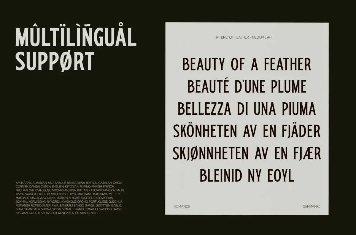 Bird of Feather - Condensed Display Serif Font